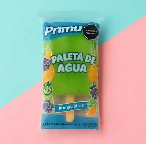 Paquete de 10 Unidades de Paletas de Agua