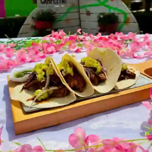 Taquitos Del Vergel