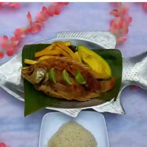Mojarra Dorada