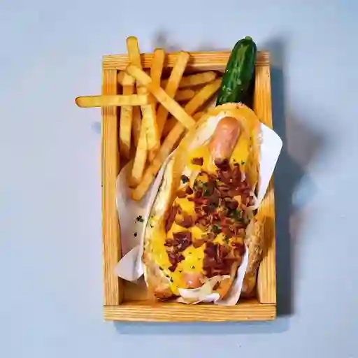 Perro Especial Don Matías