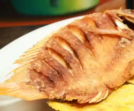 Tilapia Frita