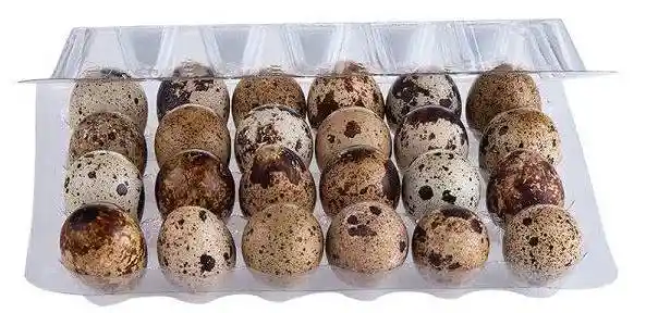 Huevo de Codorniz 24 Und