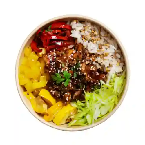 Bowl Asiático (med)