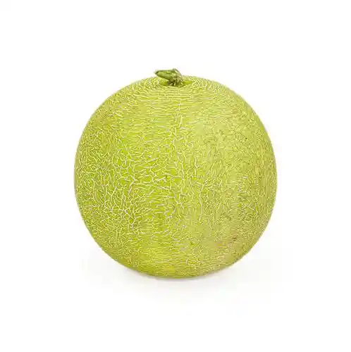 Melón Galia Unidad