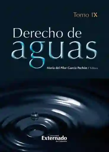 Derecho de Aguas Tomo Ix