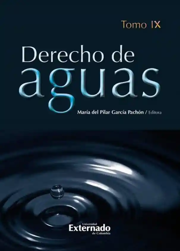 Derecho de Aguas Tomo Ix