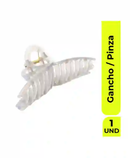 Neon Clip Básico Icónico Clara Gancho Pinza