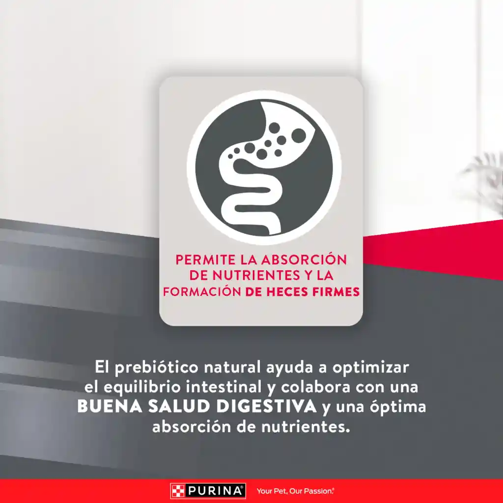 Comida para perros EXCELLENT PUPPY Razas Pequeñas x 3 kg