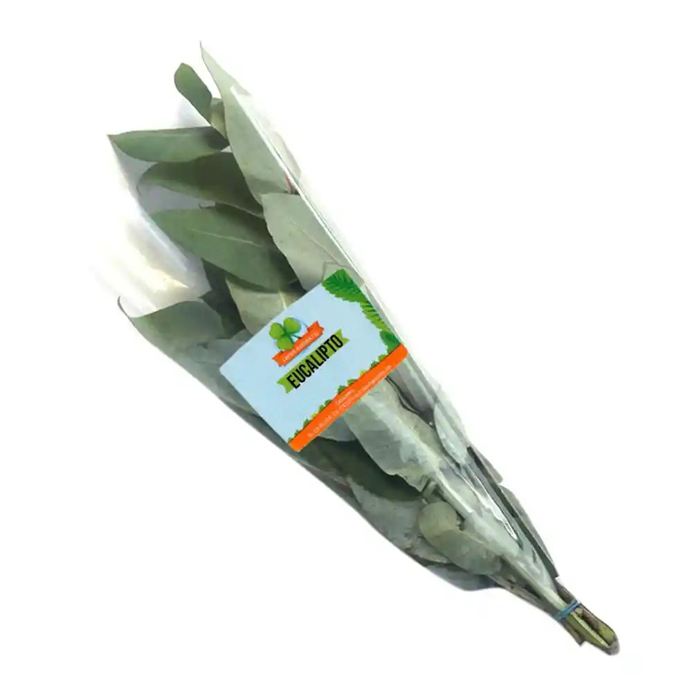 Eucalipto Fresh Aromatic