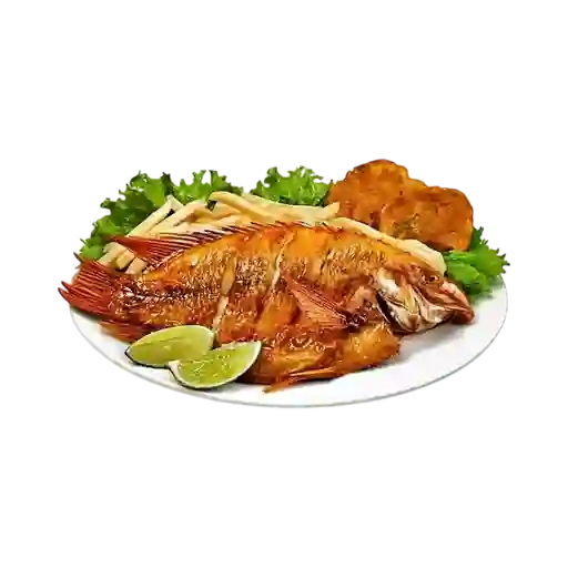 Cachama Frita