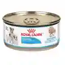 Royal Canin Alimento Húmedo para Perros Starter