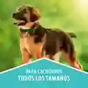 Comida para perro Dog Chow Cachorro medianos y grandes x 8 kg