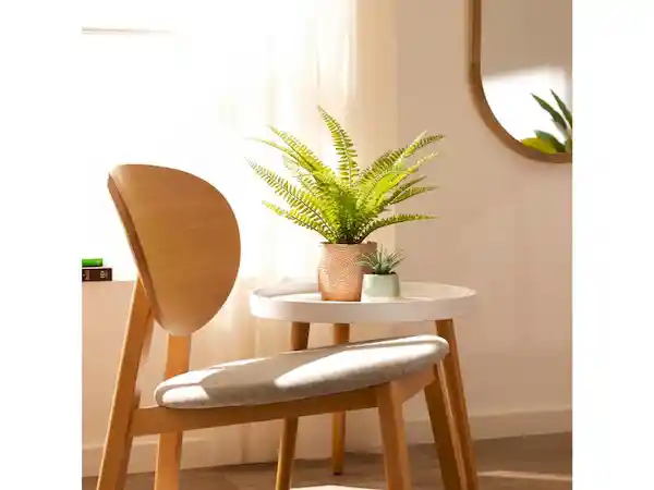 Maceta Cactus Dúo Celeste Casaideas