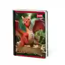 Cuaderno Cosido 100 Hojas Cuadriculado 100 Hojas Cosido Scribe