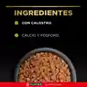 Comida para Perros cachorros razas medianas Purina Pro Plan x 3 kg
