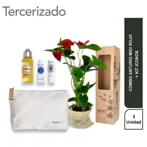 Combo Anturio Midi Rojo + Kit Iconos Loccitane