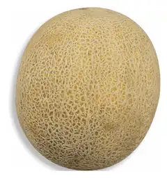 Melon