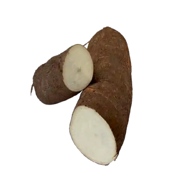 Yuca Orgánica