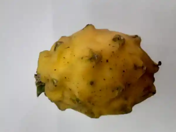 Pitaya