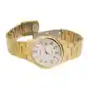 Reloj Enticer Hombre Dorado MTP-V002G-7B2UDF Casio