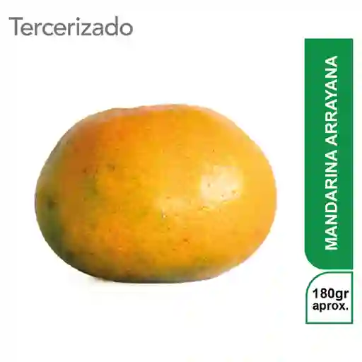 Mandarina Arrayana Turbo