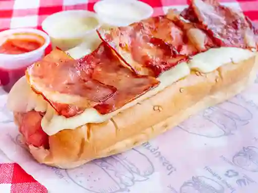 Perro Tocineta