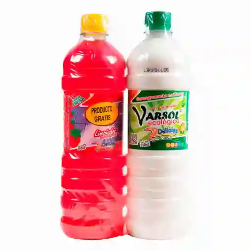 Varsol Limpiador Desinfectante + Delicias Desengrasente