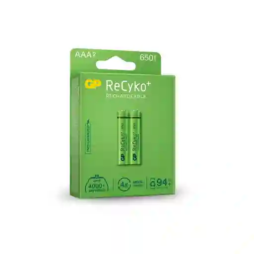 Pila Recarbable Gp Gp65aaahc-c2kk