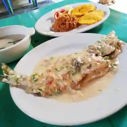 Róbalo Marinero