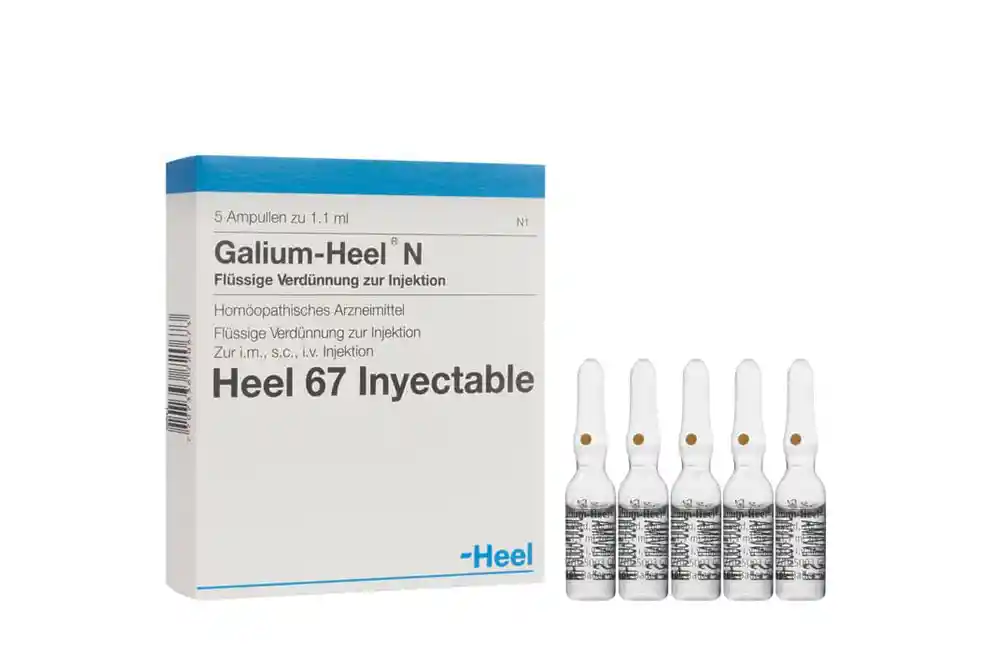 Galium Heel N Solución Inyectable