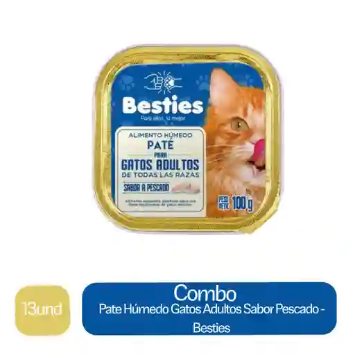 13 x Pate Alimento Humedo Gatos Adultos Sabor Pescado - Besties
