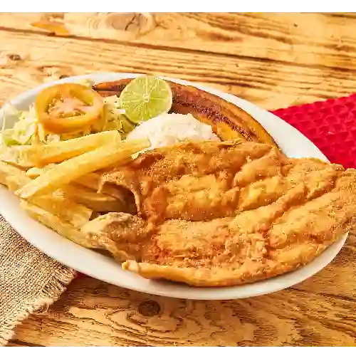 Tilapia