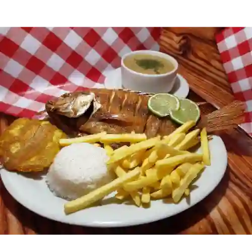 Mojarra Frita