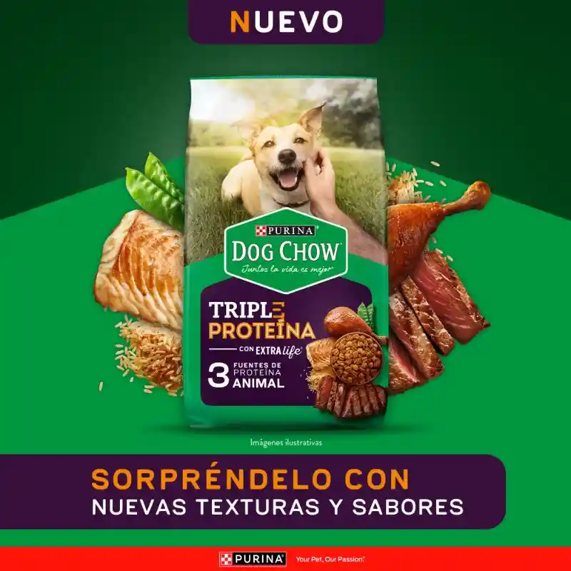Comida para perro Dog Chow Triple proteina todos los tamaños 8 kg