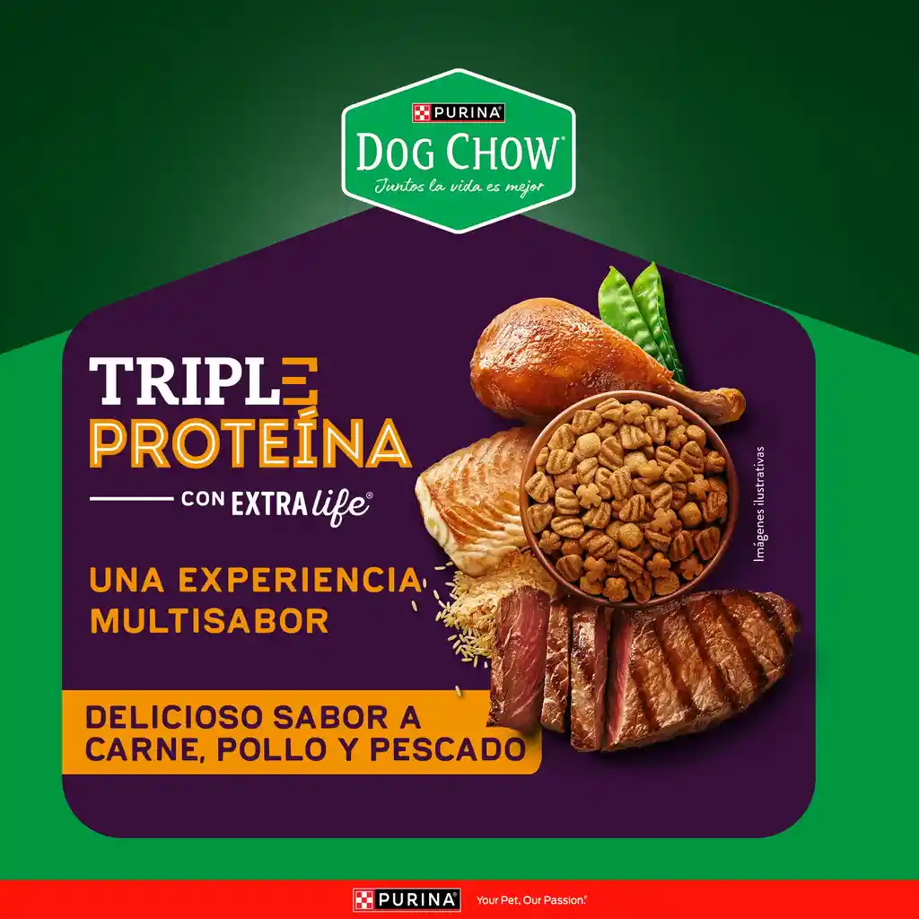Comida para perro Dog Chow Triple proteina todos los tamaños 22,7 kg