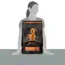 Comida para perros adultos piel sensible razas pequeñas Purina Pro Plan x 7,5 kg