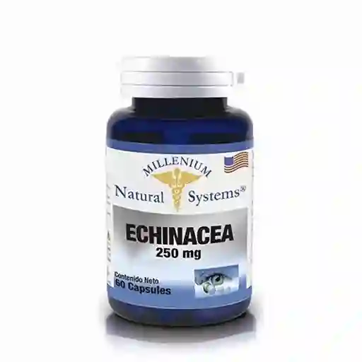 NATURAL SYSTEMS Echinacea (250 mg)