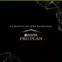 PRO PLAN SKIN & STOMACH ADULTO 3,5 kg