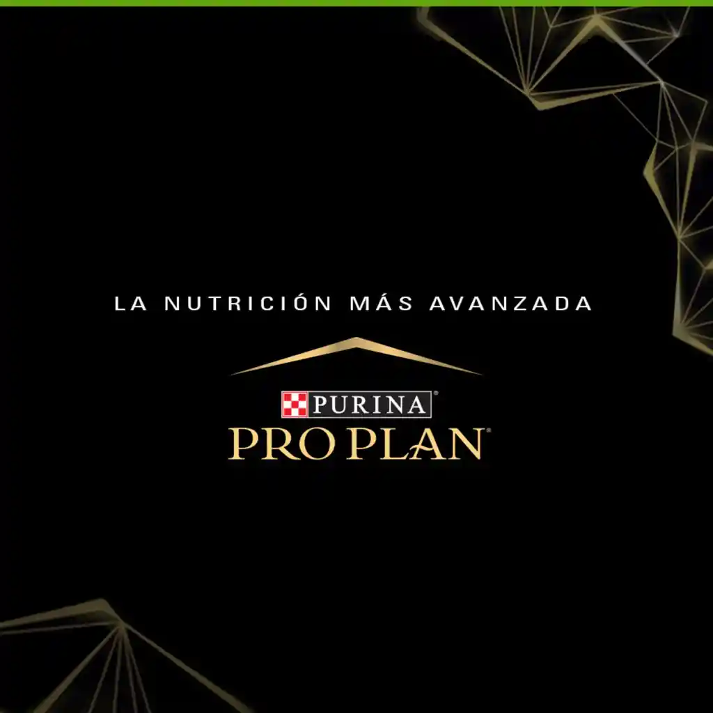 PRO PLAN SKIN & STOMACH ADULTO 3,5 kg
