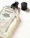 Perfume Cap Cédrat Eau de Toilette L'Occitane