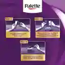 Tinte Palette Color Creme 10-1 Rubio Plata Cenizo