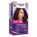 Tinte Palette Color Creme 4-88 Castaño Rojizo