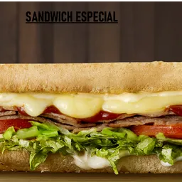 Sandwich Especial