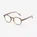 Izipizi Gafas Reading D Havane + 2.5