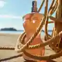 Jean Paul Gaultier Classique Edt 100 Ml For Women