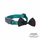 Collar Ajustable Para Gato Michi Verde