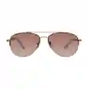 Gafas 100% uv Mujer Oro Rosa x60040 Tommy Hilfiger