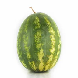 Sandia Común Fresca