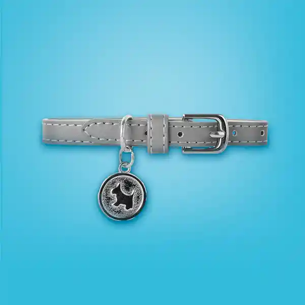 Collar Para Mascotas Dije Redondo Serie Silver Gray Miniso