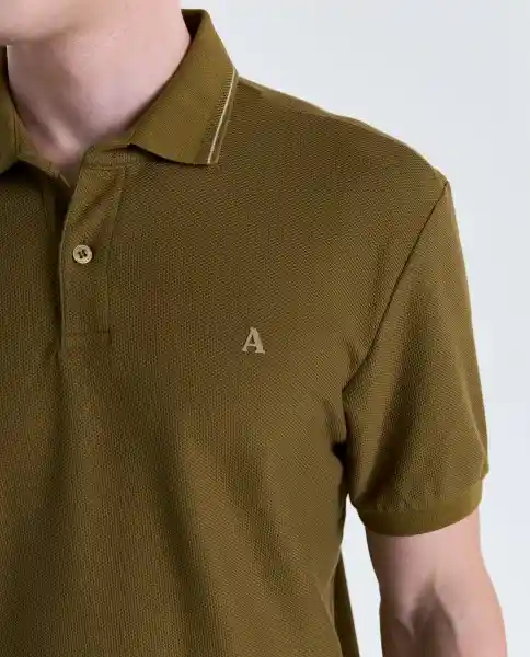 Polo Hombre Verde Talla M 809G001_VER180627 Americanino